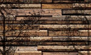 Fototapet - Umbre de copaci pe scănduri din lemn (254x184 cm)