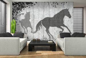 Fototapet - Umbrele de cai pe perete gri (152,5x104 cm)