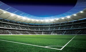 Fototapet - Stadion de fodbal (254x184 cm)