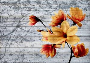 Fototapet - Flori portocalii pe scânduri din lemn (152,5x104 cm)