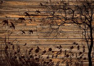 Fototapet - Lunca pe scănduri din lemn (254x184 cm)