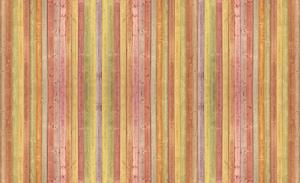 Fototapet - Textura - Scăndura colorată (152,5x104 cm)