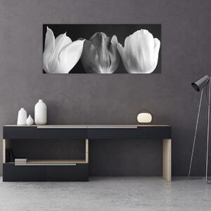 Tablou - Lalele alb negre (120x50 cm)