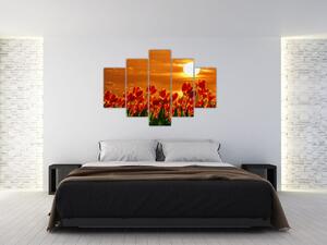 Tablou - lan înflorit de lalele (150x105 cm)