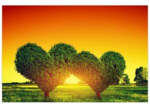 Tablou - Inima în coroanele copacilor (90x60 cm)
