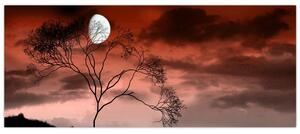 Tablou - Luna luminează noaptea (120x50 cm)