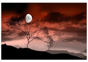 Tablou - Luna luminează noaptea (90x60 cm)