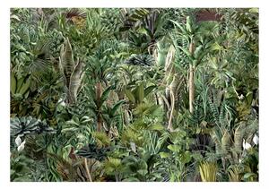 Fototapet - Richness of Jungle