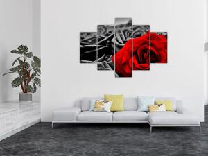 Tablou - Flori de trandafir (150x105 cm)