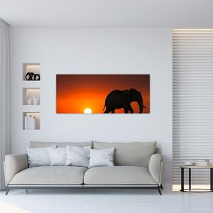 Tablou cu elefant în apus de soare (120x50 cm)