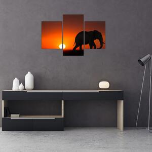 Tablou cu elefant în apus de soare (90x60 cm)