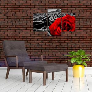 Tablou - Flori de trandafir (90x60 cm)