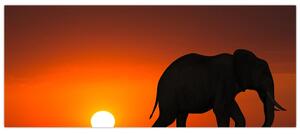 Tablou cu elefant în apus de soare (120x50 cm)