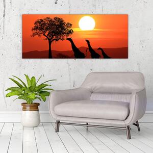 Tablou cu girafe în apus de soare (120x50 cm)