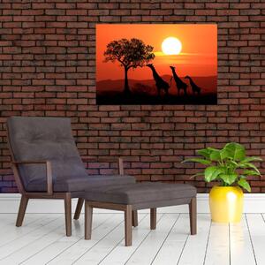 Tablou cu girafe în apus de soare (90x60 cm)