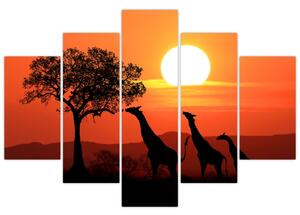 Tablou cu girafe în apus de soare (150x105 cm)
