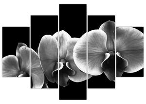 Tablou floare de orhidee (150x105 cm)