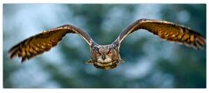 Tablou -Bufnita în zbor (120x50 cm)