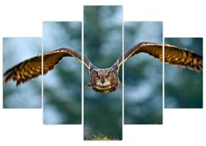 Tablou -Bufnita în zbor (150x105 cm)