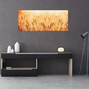 Tablou - câmp cu grâne (120x50 cm)