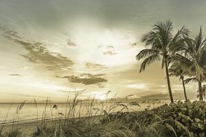 Fotografie de artă BONITA BEACH Sunset | Vintage, Melanie Viola, (40 x 26.7 cm)
