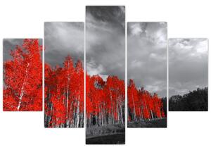 Tablou - Copaci în culorile toamnei (150x105 cm)
