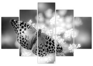 Tablou - Detailu cu fluture care polenizează floare (150x105 cm)