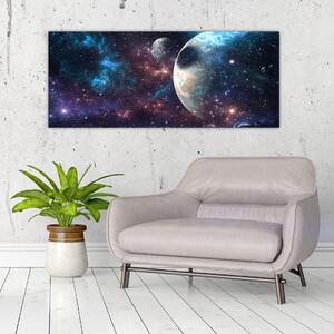 Tablou cu cosmos (120x50 cm)