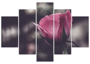 Tablou - Detaliu florii de trandafir (150x105 cm)