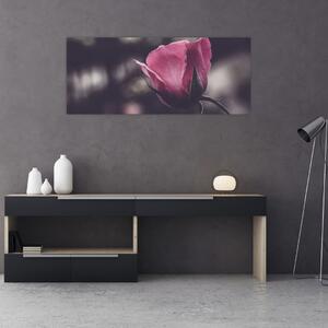 Tablou - Detaliu florii de trandafir (120x50 cm)