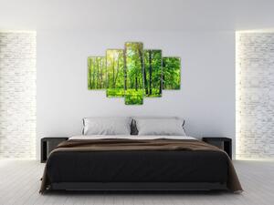 Tablou - Pădurea cu frunze de primăvară (150x105 cm)