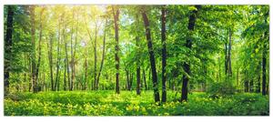 Tablou - Pădurea cu frunze de primăvară (120x50 cm)
