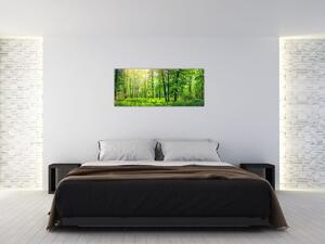 Tablou - Pădurea cu frunze de primăvară (120x50 cm)