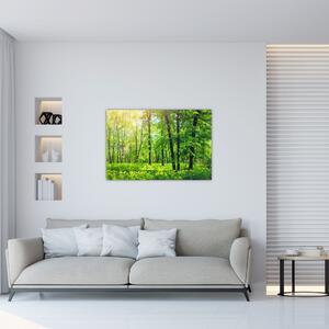 Tablou - Pădurea cu frunze de primăvară (90x60 cm)