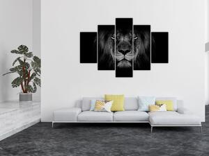 Tablou - Leu majestic (150x105 cm)