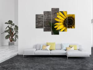 Tablou - Floare de floarea soarelui (150x105 cm)