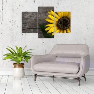 Tablou - Floare de floarea soarelui (90x60 cm)
