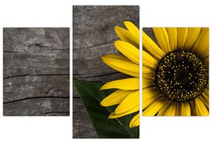 Tablou - Floare de floarea soarelui (90x60 cm)