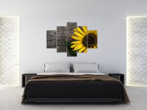 Tablou - Floare de floarea soarelui (150x105 cm)