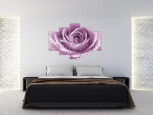 Tablou detaliu de floare de trandafir (150x105 cm)