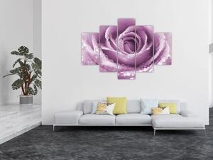 Tablou detaliu de floare de trandafir (150x105 cm)