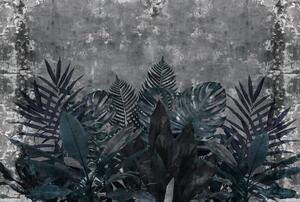 Fototapet - Plante în întuneric (296x200 cm)