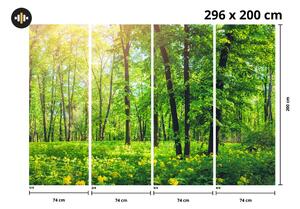 Fototapet - Pădure (296x200 cm)