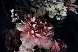 Fototapet - Flori pe fond negru (296x200 cm)