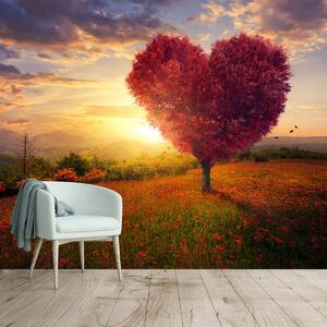 Fototapet - Copac în formă de inimă (296x200 cm)