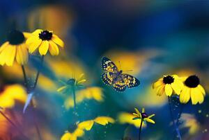 Fototapet - Flori galbene cu fluture (296x200 cm)