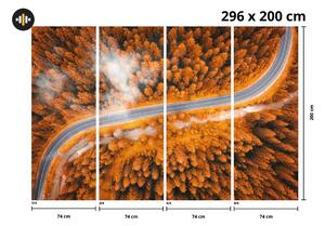 Fototapet - Drum între copaci (296x200 cm)