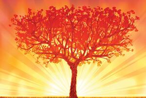 Fototapet - Copacul în razele solare (296x200 cm)