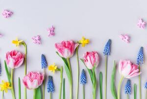 Fototapet - Flori de primăvară (296x200 cm)