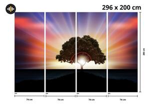 Fototapet - Copac în razele solare (296x200 cm)